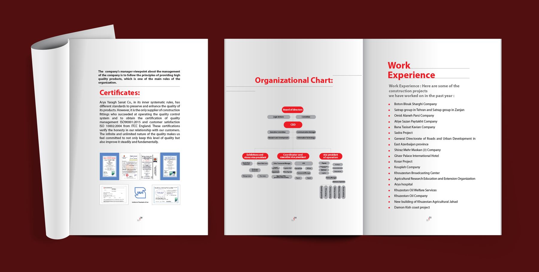 Interior spreads showing certificates, an organisational chart and a work experience list